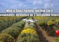 How Can Smart Farming Revolutionize Agriculture? - DataMyte