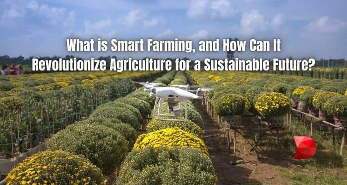 How Can Smart Farming Revolutionize Agriculture? - DataMyte